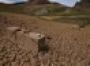 Strict water limits for California