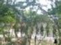 Gunmen storm Kenyan university