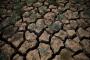 California Imposes First-Ever Mandatory Water Restrictions