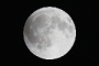 Watch the &lsquo;Blood Moon&rsquo; Total Lunar Eclipse