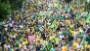 Brazilians push to impeach president