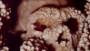Neanderthal gives scientists oldest DNA