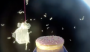 This Is the First Doughnut to Be Launched Into Space