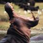 7 Real Humans Who Survived Shockingly Violent Deaths