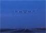 Solar plane aims for Chinese coast