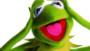 Newly discovered frog looks like Kermit