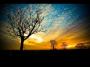 Devin Townsend - Earth Day - YouTube