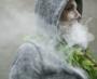 'Just Say No' to the Gateway Theory of Pot