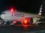 Planes grounded by iPad app error