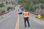 Watch Bears Chase Tourists Who Got Too Close in Yellowstone National Park