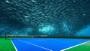 Anyone for underwater tennis?