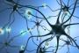 The Ultimate Interface Is Your Brain