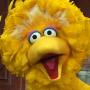 Most Upsetting Answers From Big Bird's Reddit AMA
