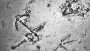 MH370 search discovers uncharted shipwreck
