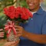 6 Disturbing Realities Behind Your Valentine's Bouquet