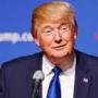 Check Out This Weird Theory About Trump's Twitter We Found