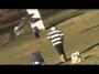 Golden Eagle Tries to Snatch Up Baby is Fake!