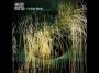 Muse - Dead star- YouTube