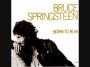 Bruce Springsteen - Jungleland [Album Version]
      - YouTube