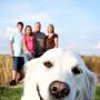 14 Idiot Dogs Who Don't Know How To Pose for Pictures